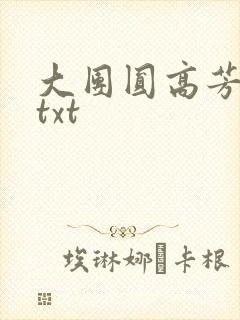 大团圆高芳小说txt封面