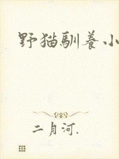 野猫驯养小说