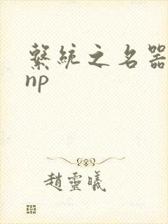 系统之名器攻略np