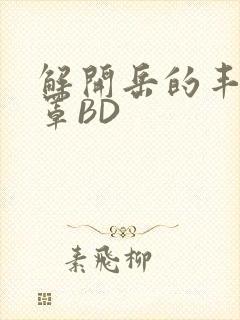 解开岳的丰满奶罩BD