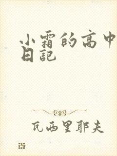 小霜的高中成长日记