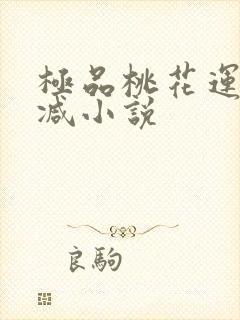 极品桃花运未删减小说