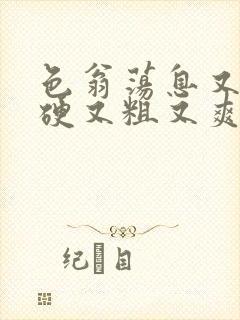 色翁荡息又大又硬又粗又爽电影