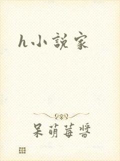 h小说家