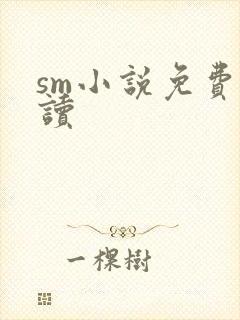sm小说免费阅读