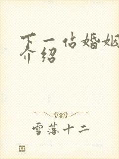 下一站婚姻剧情介绍