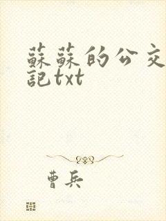 苏苏的公交车日记txt