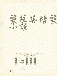 系统集精系统 小说