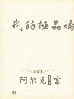 我的极品娇妻