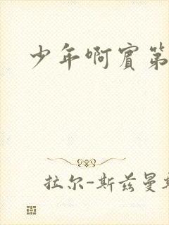 少年啊宾第二部