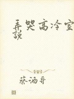 弄哭高冷室友小说