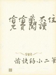 偷偷藏不住小说免费阅读