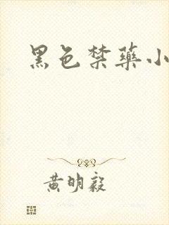 黑色禁药小说