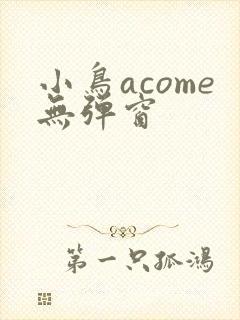 小鸟acome无弹窗封面