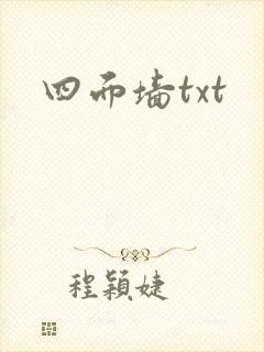 四面墙txt