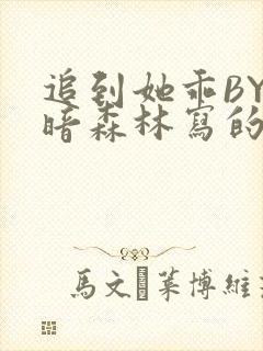 追到她乖BY黑暗森林写的小说