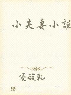 小夫妻小说