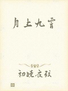 《月上九霄》小说封面