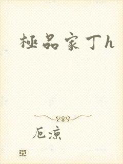 极品家丁h