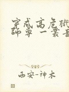 穿成高危职业之师尊 一丛音