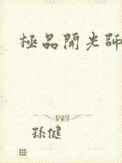 极品开光师