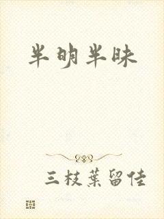 半明半昧