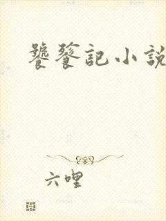 饕餮记小说