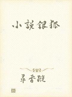 小说银狐