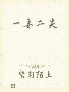一妻二夫