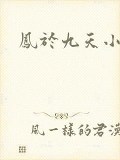 凤于九天小说