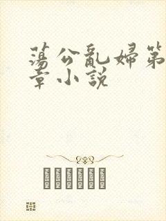 荡公乱妇第51章小说