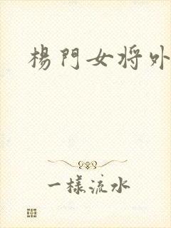杨门女将外传