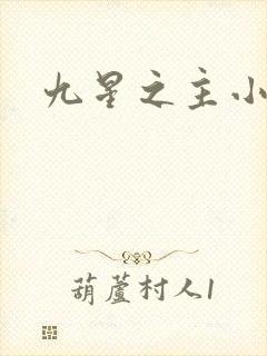 九星之主小说