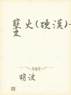 孽火(硬汉)今又