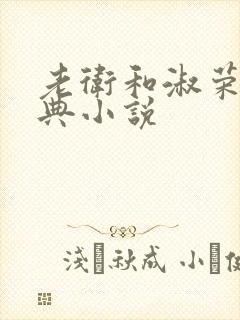 老卫和淑荣的经典小说