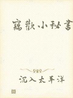窃欢小秘书