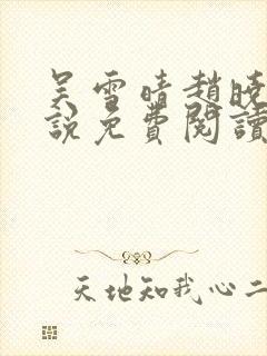 吴雪晴赵晓东小说免费阅读