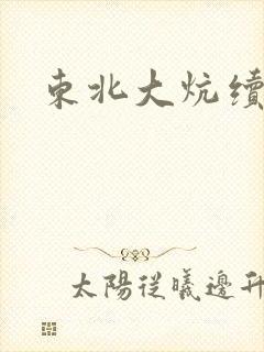 东北大炕续集