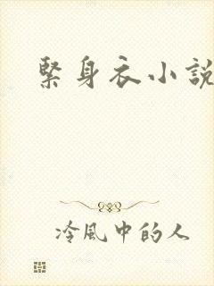 紧身衣小说