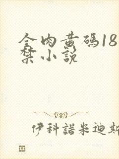 全肉黄码18无禁小说