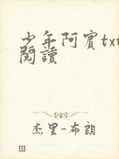 少年阿宾txt阅读