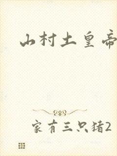 山村土皇帝