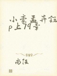 小豪孟卉钰慧三p上79章
