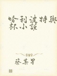 哈利波特与火焰杯小说