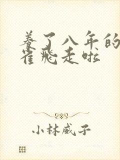 养了八年的金丝雀飞走啦