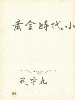 黄金时代小说