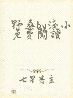 野桑by浅小说免费阅读