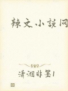 辣文小说网