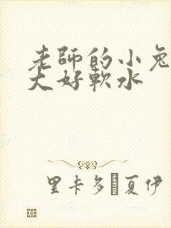 老师的小兔子好大好软水