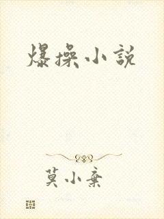 爆操小说